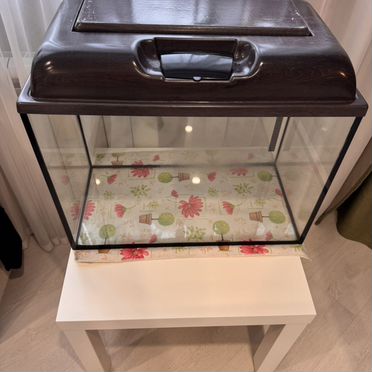 Аквариум 60 л Прямоугольный с крышкой и лампами