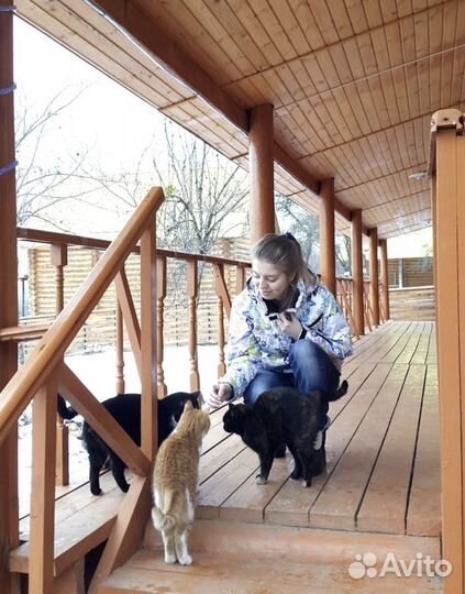 Присмотр за животными пока вы в отъезде / отпуске