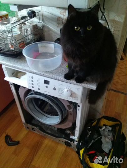 Срочный ремонт стиральных машин и холодильников