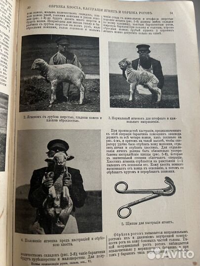 Полная энциклопедия русского сельского хозяйства