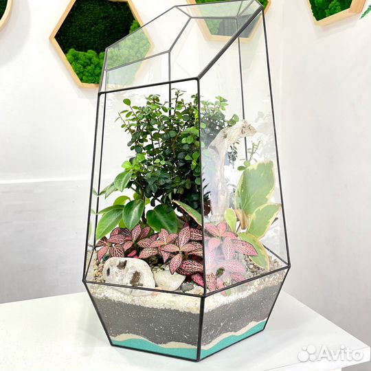 Флорариум 