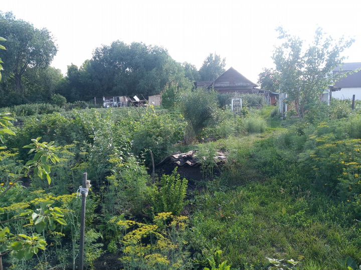 Дом 24 м² на участке 19,9 сот.