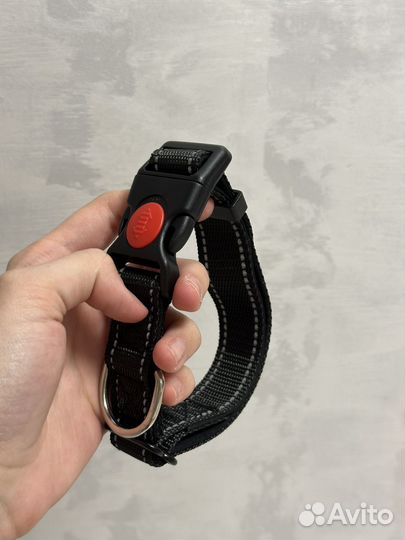 Вещи для собак