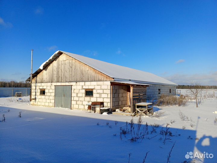 Фермерское хозяйство