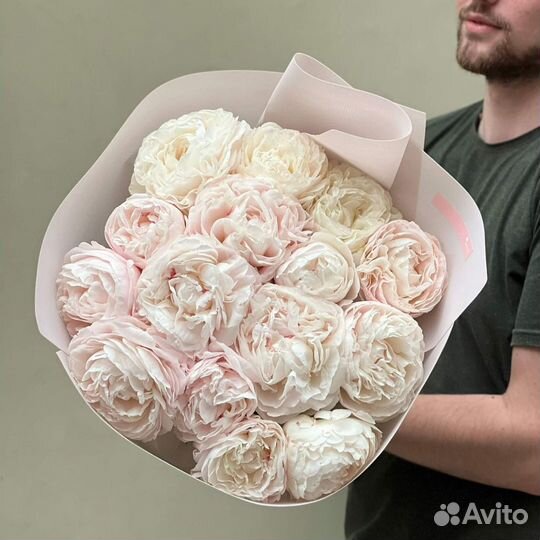 Пионы для подарка