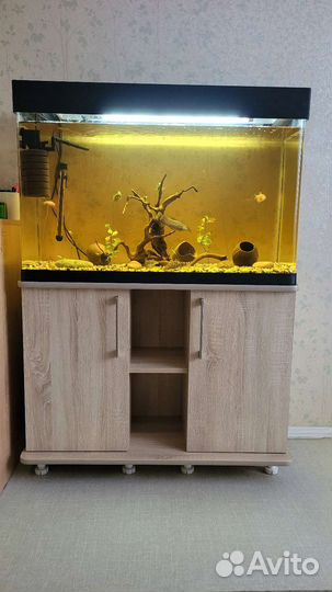 Аквариум из акрила