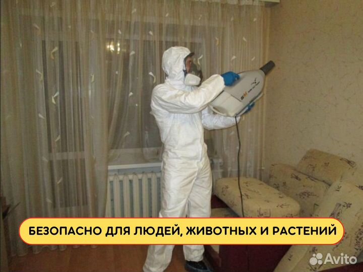 Уничтожение тараканов, обработка от клопов