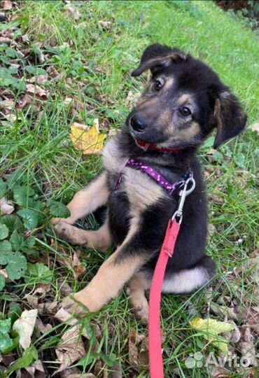 Для тех кто поймет как горько остаться одной