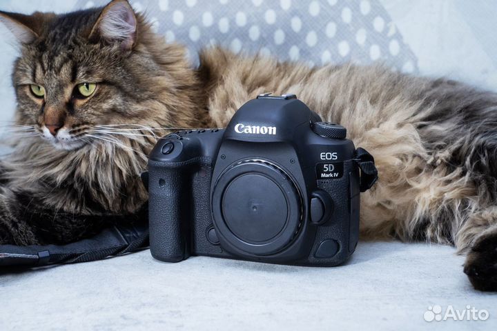 Canon EOS 5D Mark IV Body - зеркальный фотоаппарат