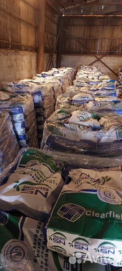 Семена гибрида подсолнечника HCX-6009