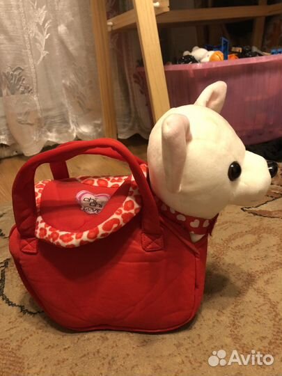 Собачка чичилав