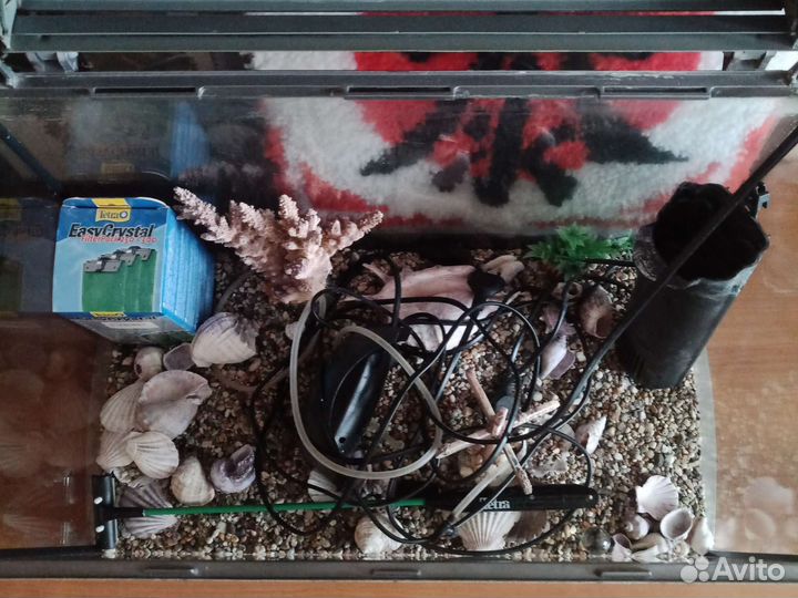 Аквариум 50 литров и всё, что внутри