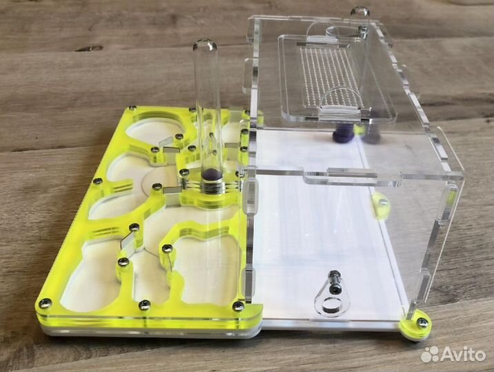 Набор муравьиная ферма (большая)