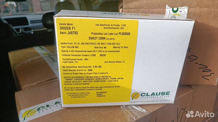 Семена Кукурузы 