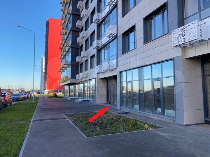 Торговая площадь, 55.8 м²