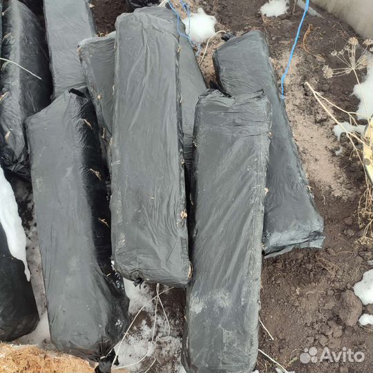 Грибные блоки вешенка