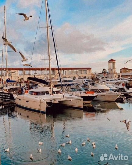 Прогулки по парусами