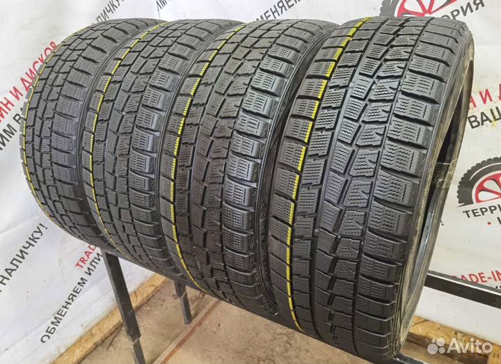 Dunlop Winter Maxx WM01 205/45 R17 99W