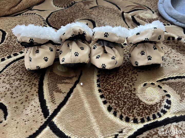 Одежда для собак