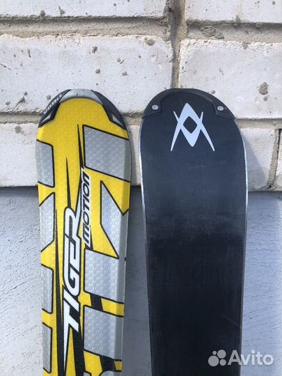 Горные лыжи