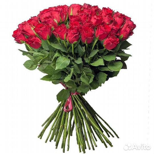 Розы букет 51 красная роза