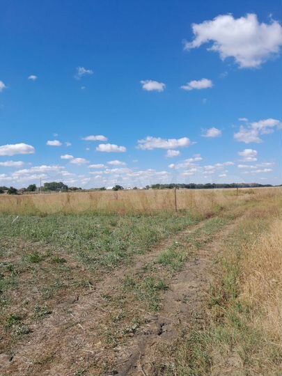 Участок 8 сот. (ИЖС)