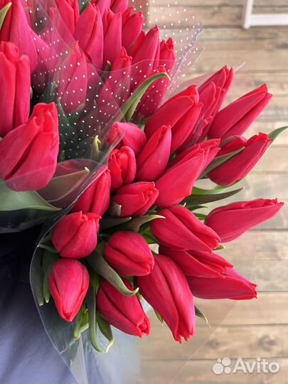 Тюльпаны к 8 марта