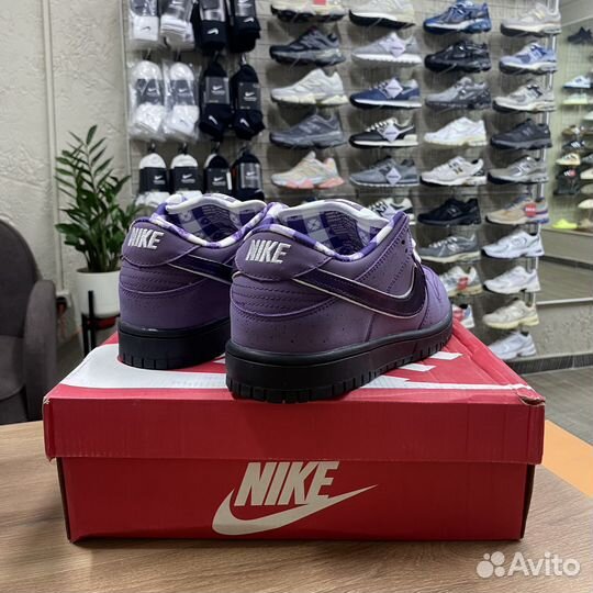 Кроссовки мужские Nike SB Dunk Concepts Lobster