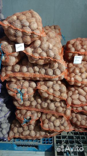 Картофель с доставкой мелодия, редсоня,Карелия