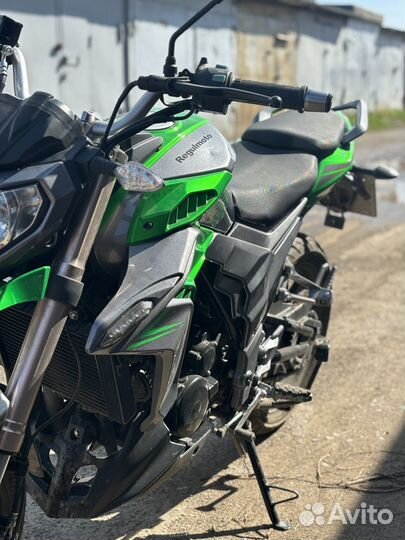 Regulmoto T-Leopard 300