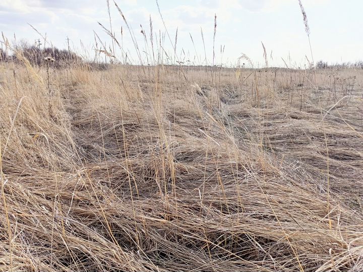 Участок 7,6 га (СНТ, ДНП)