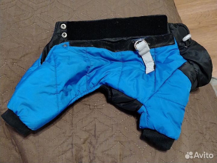 Зимний комбинезон для маленькой собаки