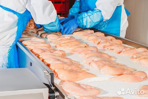 Упаковщик на птицефабрику Вахта