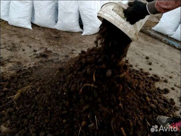 Удобрение из конского навоза с опилками в мешках 5