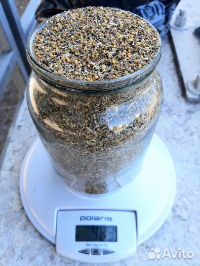 Горчица. Отходы горчицы