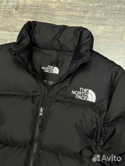 Зимняя куртка The North Face 700