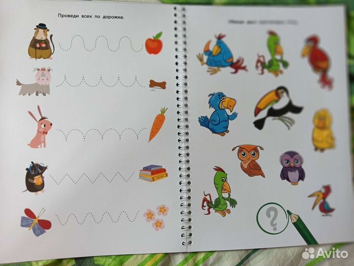 Тетрадь для мальчиков пиши-стирай, многоразовая