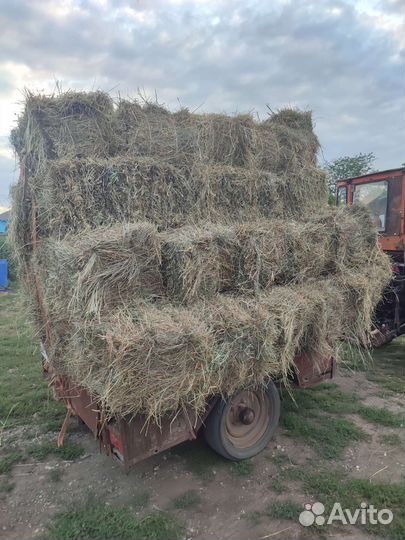 Сено разнотравье луговое. С дома с сеника
