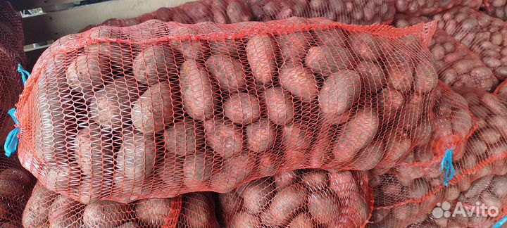 Картофель оптом