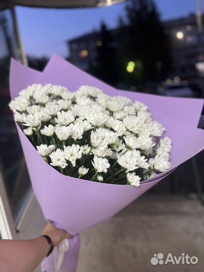 XXL букет ромашек