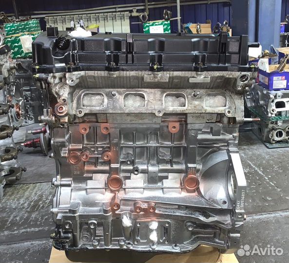 Двигатель новый g4kd kia/Hyundai