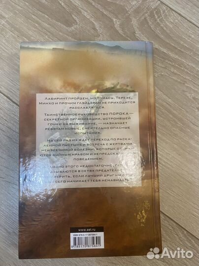 Бегущий в лабиринте. Испытание огнем