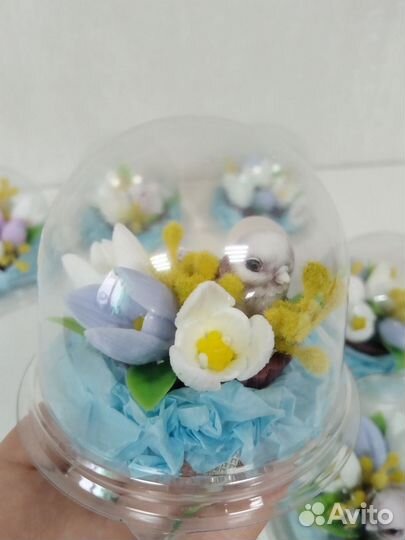 Мыло ручной работы