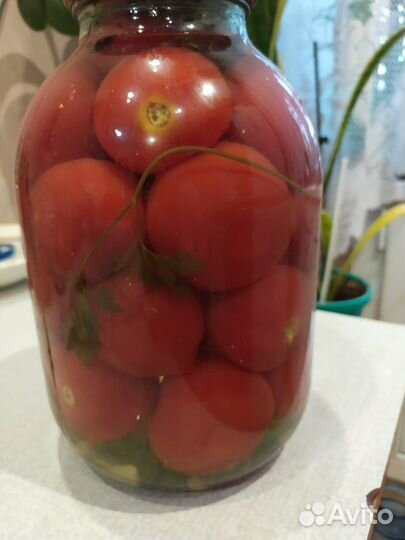 Помидоры маринованные