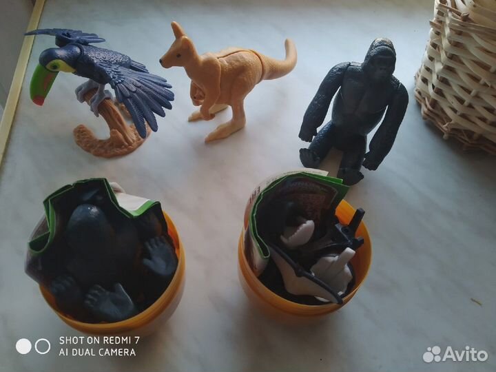 Киндер maxi nation's