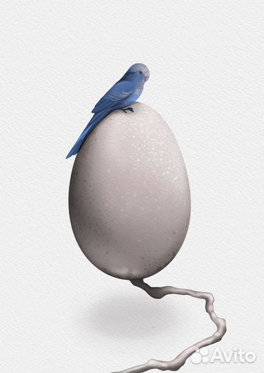 Художник иллюстратор