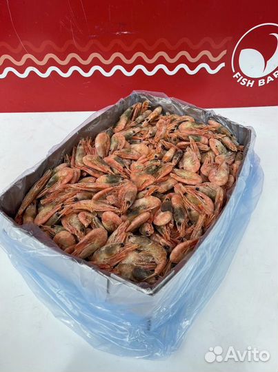 Креветка Северная 90-120 шт/1кг