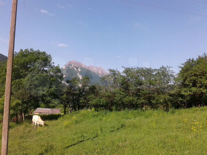 Участок 80 сот. (ИЖС)