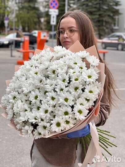 19 хризантем кустовых