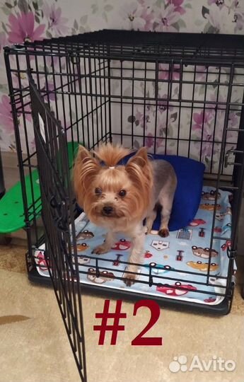 Клетки для собак